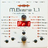 M.Brane 11